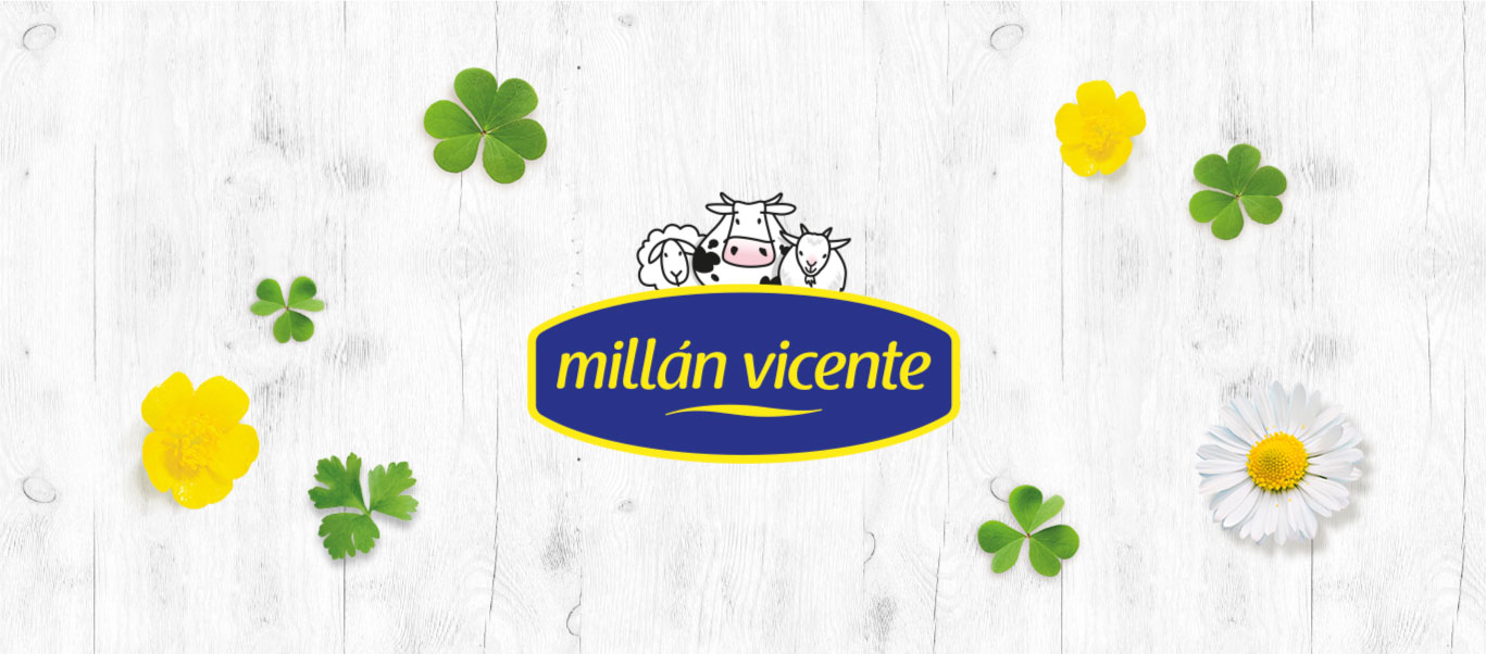 Millan vicente – brand codes and retail branding