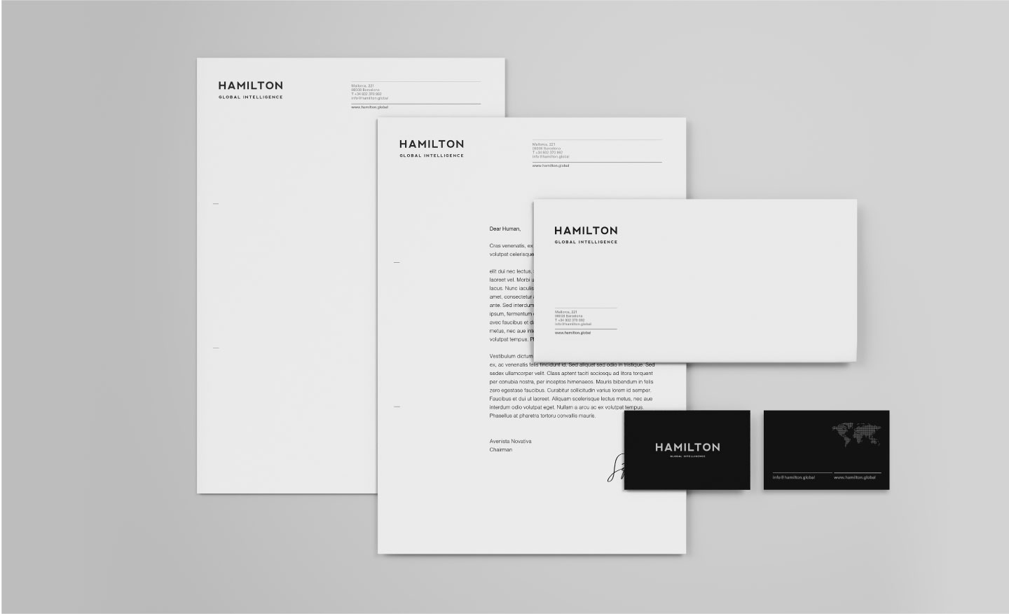 Hamilton – Posicionamiento identidad de marca y códigos gráficos para presentaciones de resultados